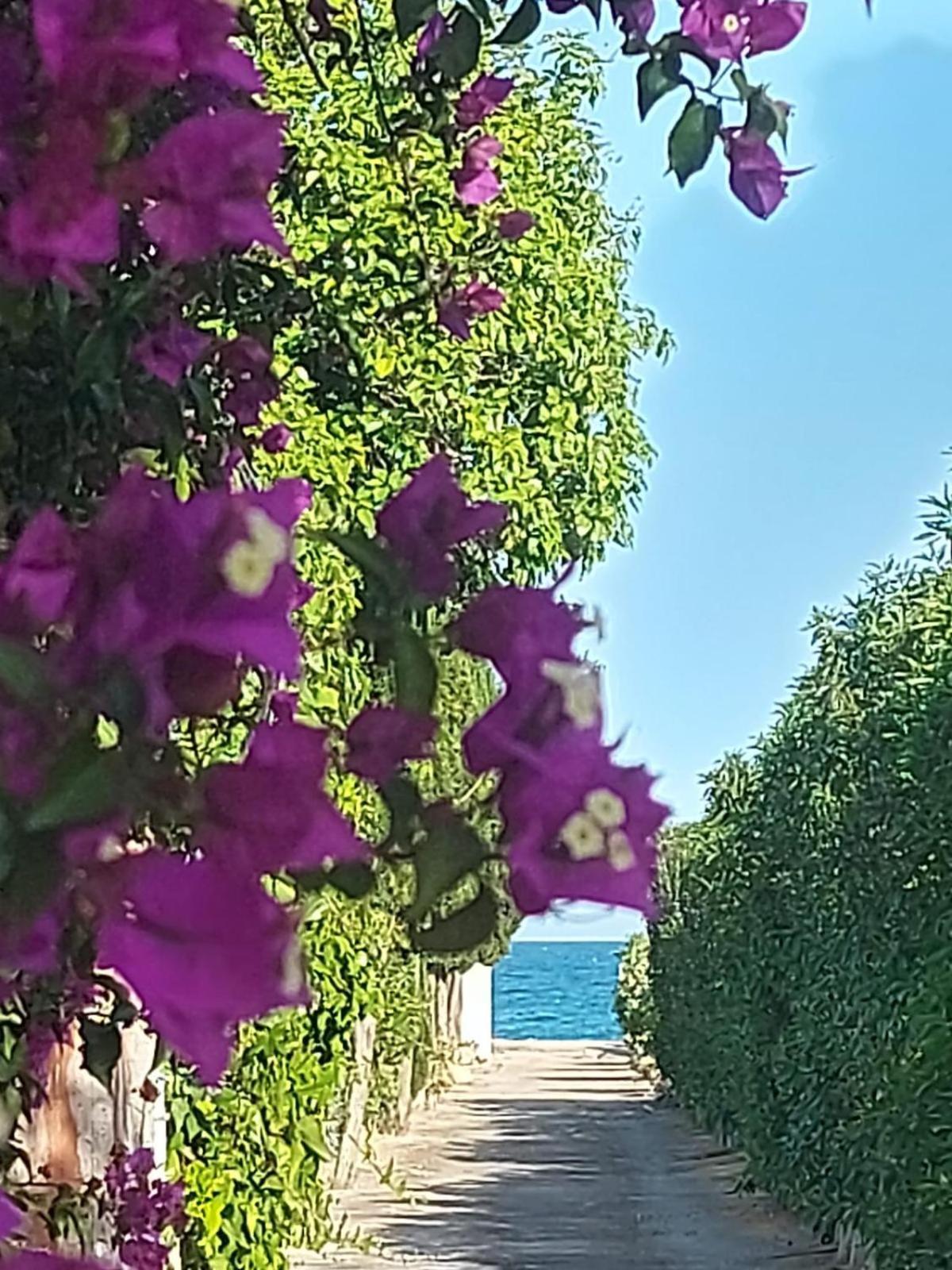 Casa Rural Frente Al Mar La Toscana Les Cases d'Alcanar Luaran gambar